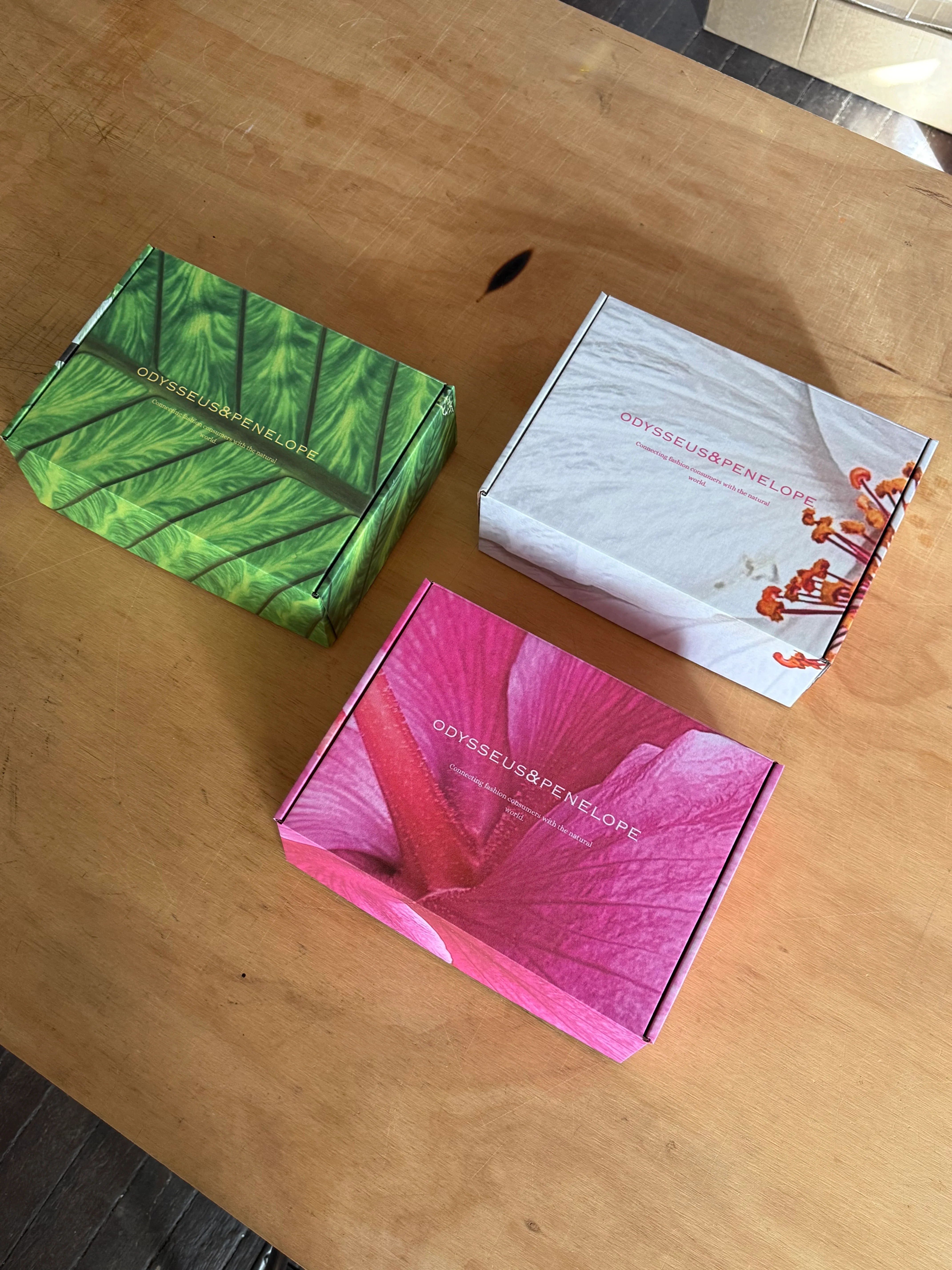 Vacation Bundle - Bikini - Image 6